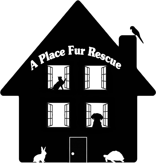 A Place Fur Rescue