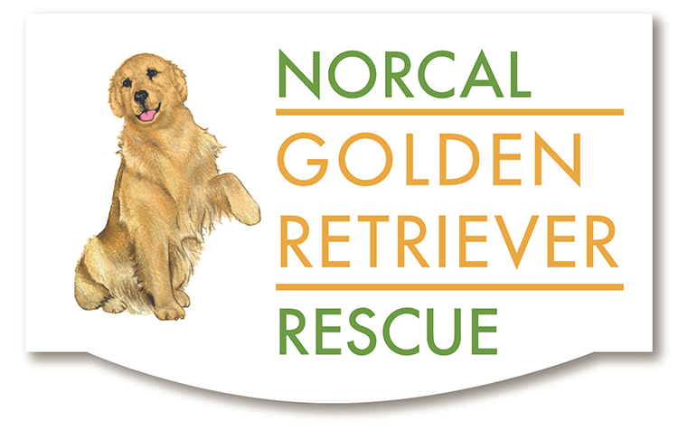 Norcal Golden Retriever Rescue