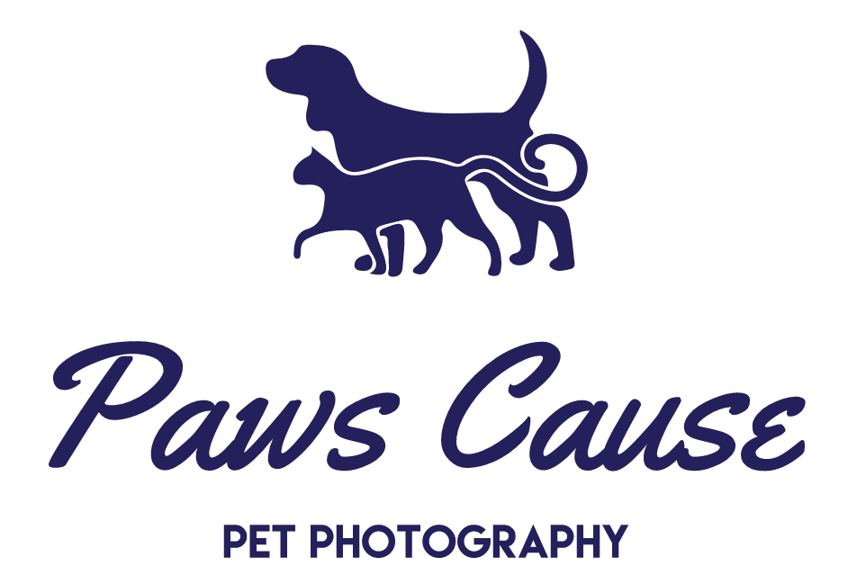 Paws Cause Pet Photography