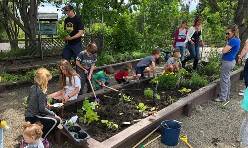 Project Green + Project Luma