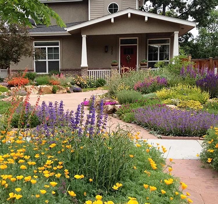 Designing Beautiful Landscapes